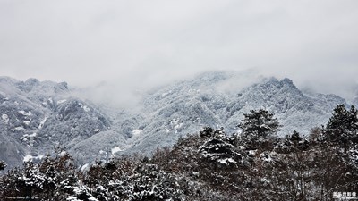 盖乐世S9+ 冬雪