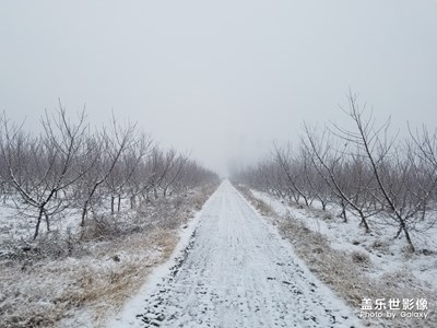 家乡雪景！