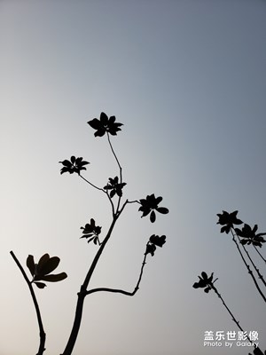 太阳不到我的身上