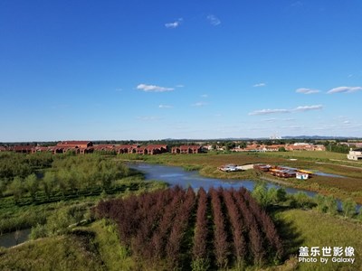 note8随拍