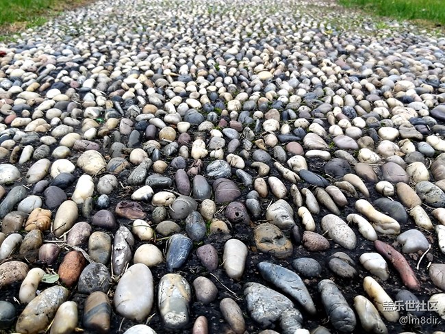 【A9s星粉体验团】2019年的第一次玩机 魅力“四摄”三星A9s