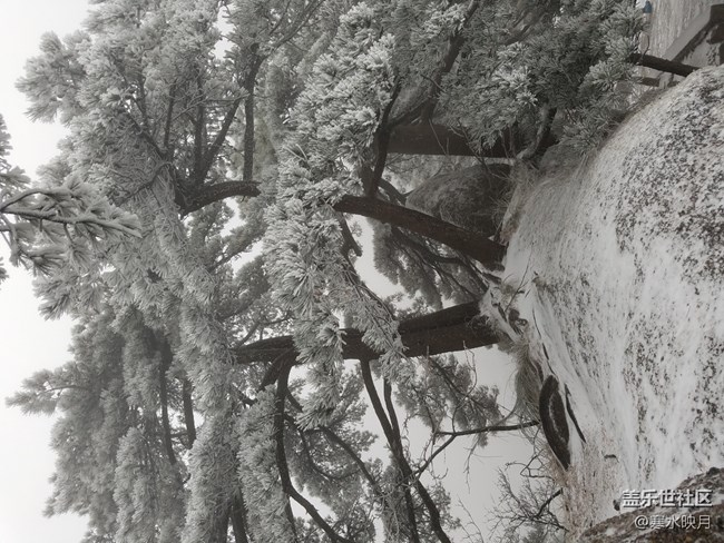 黄山之旅