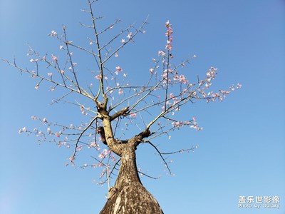 东莞植物园