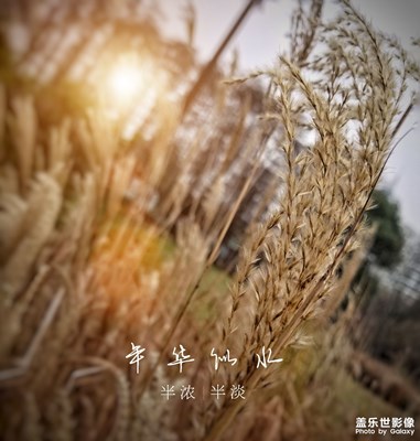 随拍