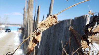 东北农村随拍