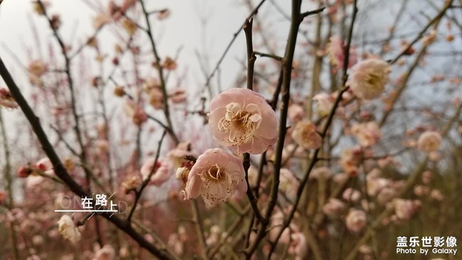 2019最美风景就在身边的路上