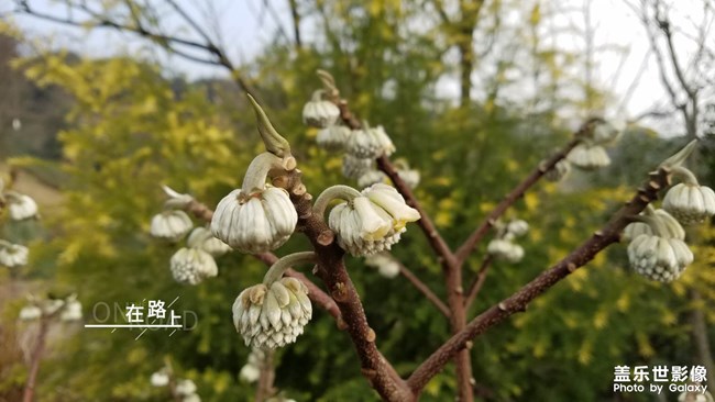 2019最美风景就在身边的路上