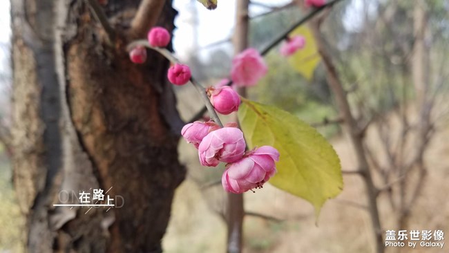 2019最美风景就在身边的路上