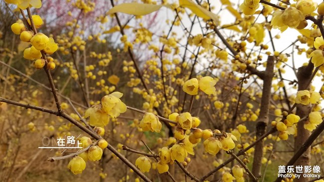 2019最美风景就在身边的路上