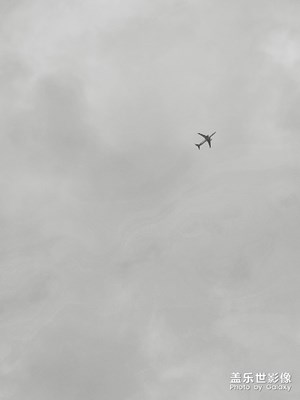 S8+【海珠湖随拍】