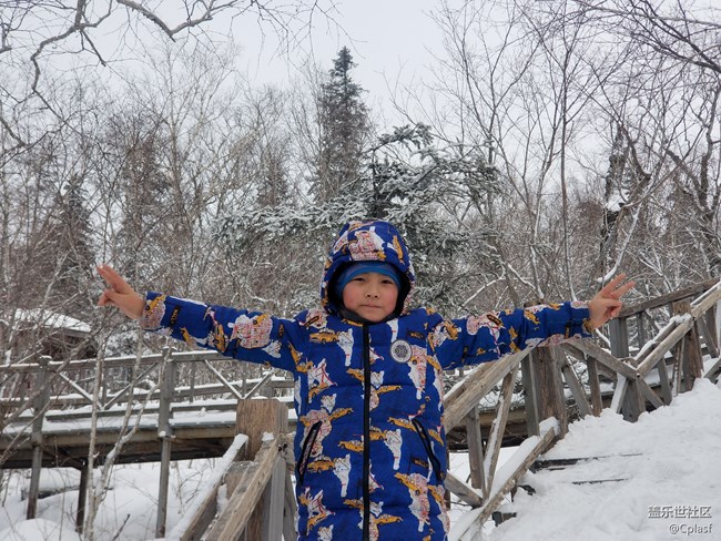 纷纷瑞雪落人间   雪乡迎“星”年
