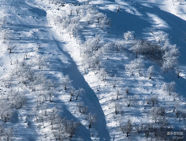 纷纷瑞雪落人间   雪乡迎“星”年