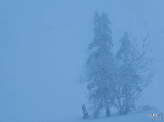 纷纷瑞雪落人间   雪乡迎“星”年