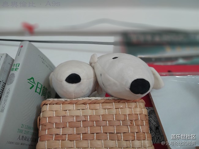 【A9s星粉体验团】第一款后置四摄手机的拍照效果还真不错 【A9s星粉体验团】第一款后置四摄手机的拍照效果还真不错