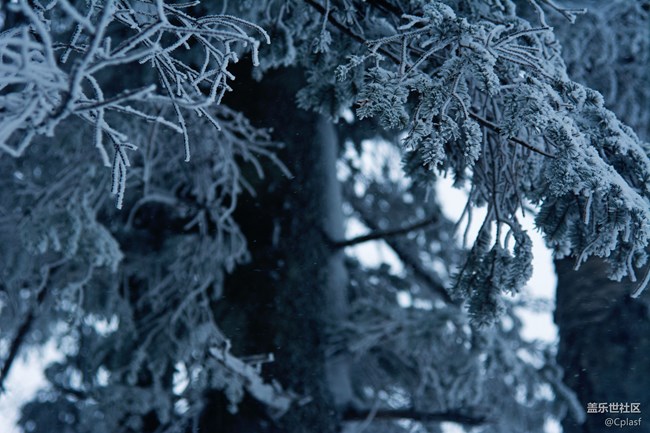 纷纷瑞雪落人间   雪乡迎“星”年