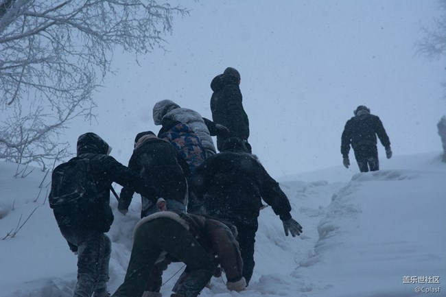 纷纷瑞雪落人间   雪乡迎“星”年