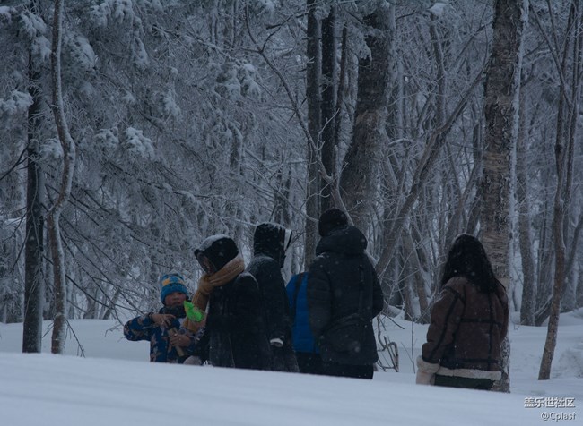 纷纷瑞雪落人间   雪乡迎“星”年