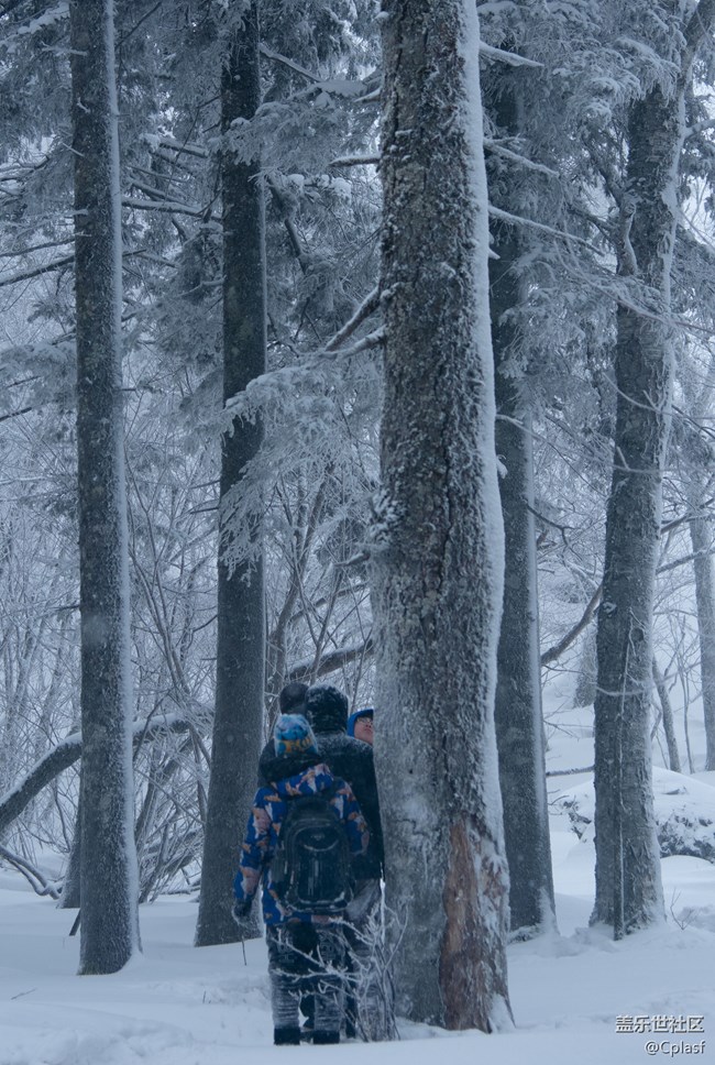 纷纷瑞雪落人间   雪乡迎“星”年