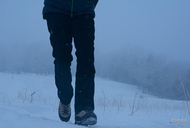 纷纷瑞雪落人间   雪乡迎“星”年