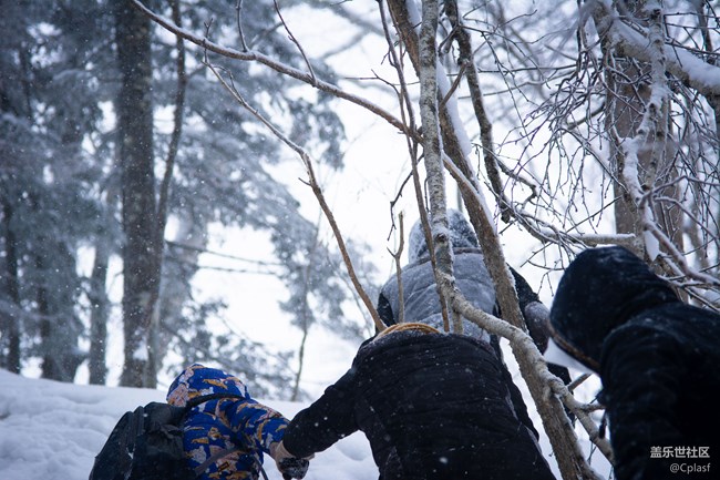 纷纷瑞雪落人间   雪乡迎“星”年