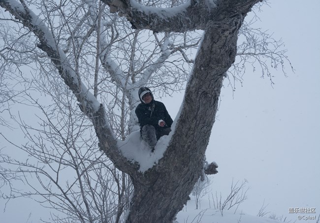 纷纷瑞雪落人间   雪乡迎“星”年