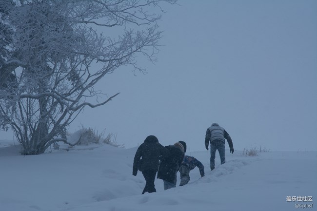 纷纷瑞雪落人间   雪乡迎“星”年