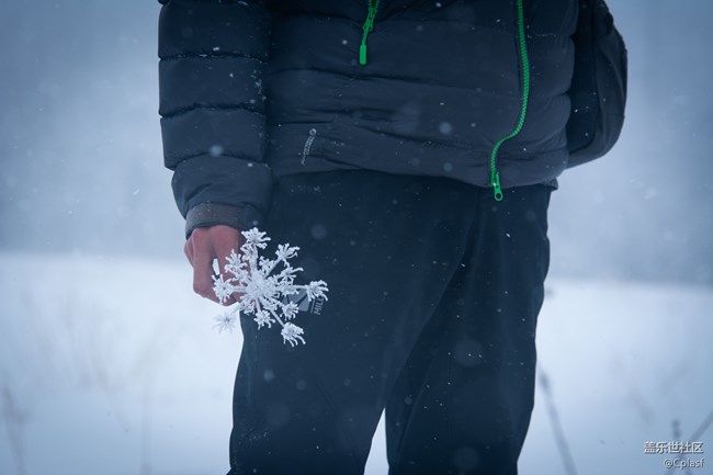 纷纷瑞雪落人间   雪乡迎“星”年