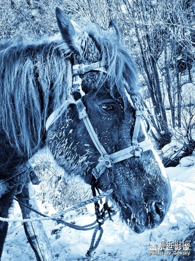 每周精帖汇【133期：春节模式开启啦 祝大家小年快乐！】