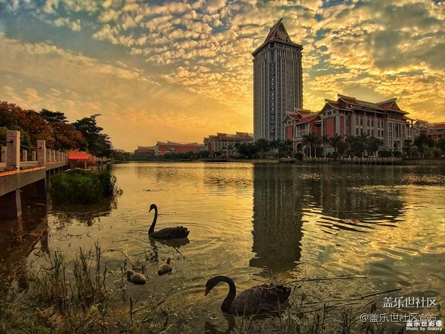 每周精帖汇【133期：春节模式开启啦 祝大家小年快乐！】