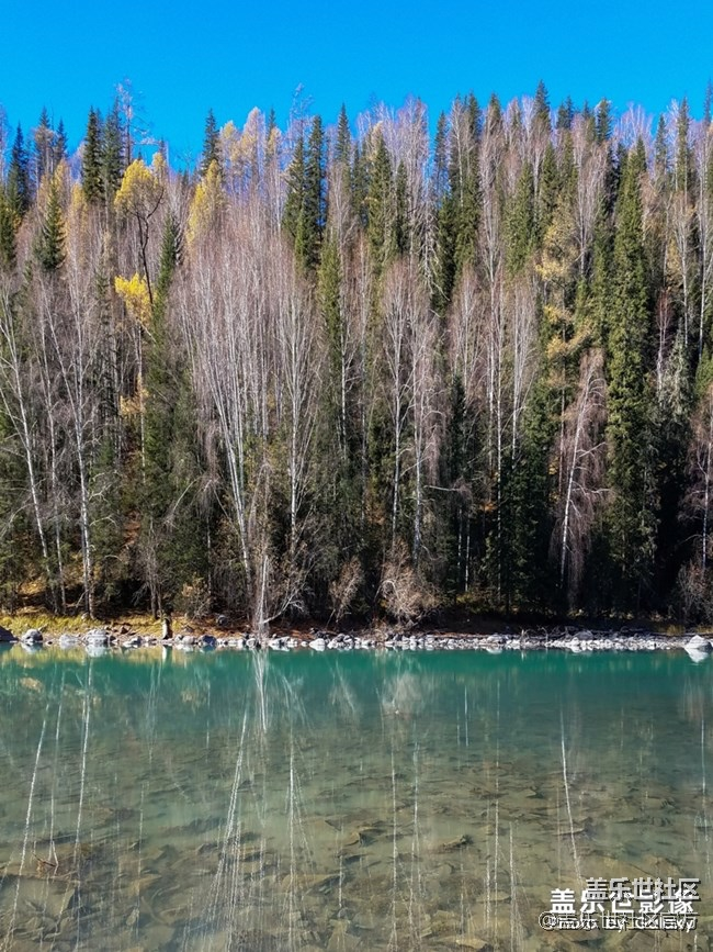 每周精帖汇【133期：春节模式开启啦 祝大家小年快乐！】