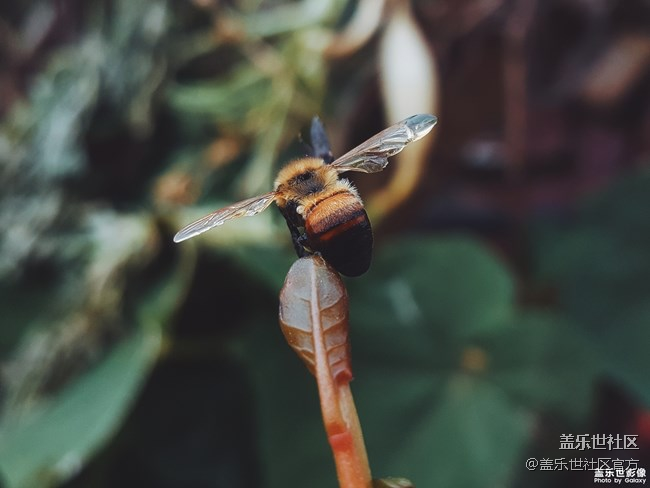 每周精帖汇【133期：春节模式开启啦 祝大家小年快乐！】