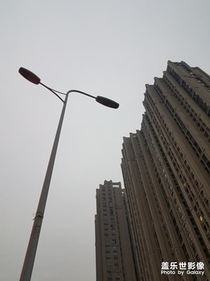 随手一拍