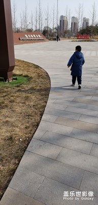 淄川之行