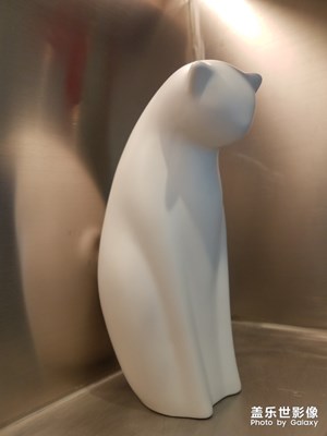 沉思的猫