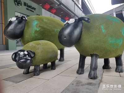 小羊肖恩一家