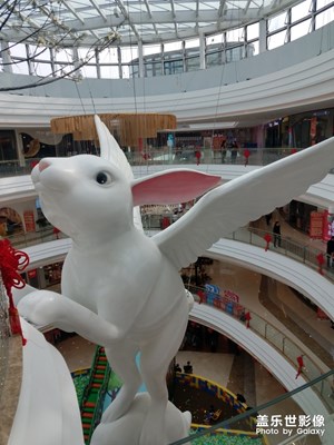 小飞兔