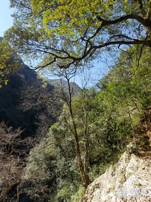 西昌螺髻山九十九里温泉