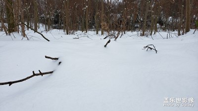 瑞雪兆丰年-立春后的大雪