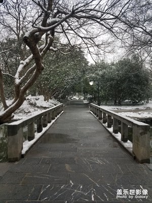 雪景