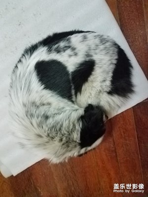 爱心