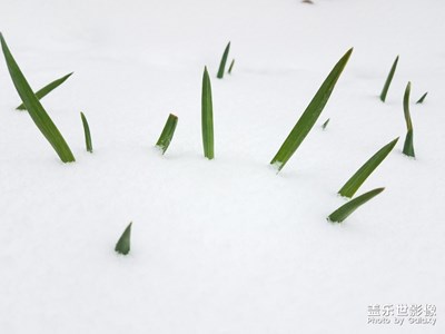 春的气息