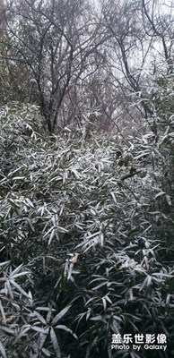 雪