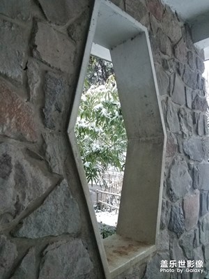 记忆中的花墙