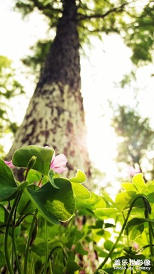 未来，你只需要比一个人过得更好，那就是你自己！