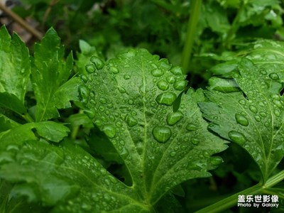 雨后的时候