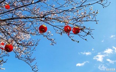 繁花似锦