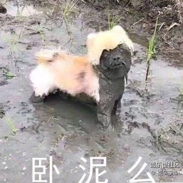 更新呢？