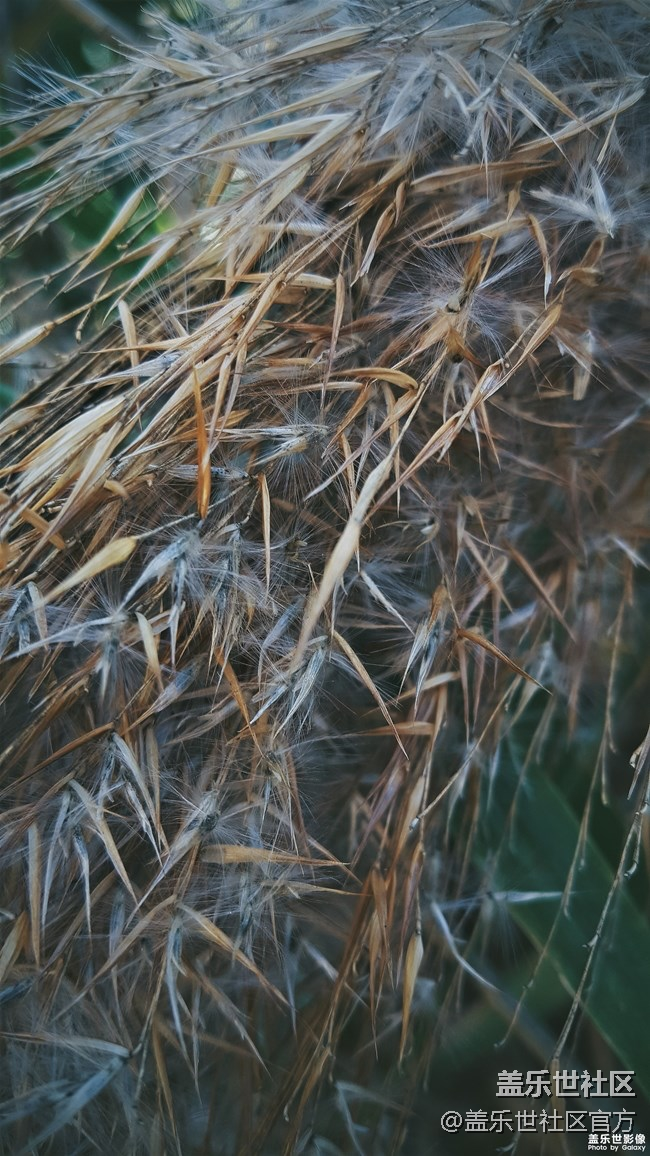 【每周精帖汇135期】Galaxy A8s独角精灵版上市啦