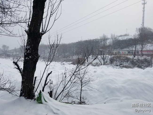 下雪后的运动