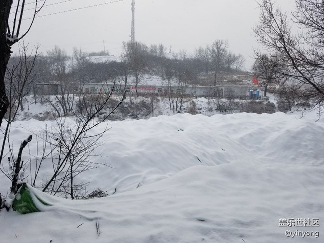 下雪后的运动